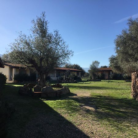 Villa Turismo Rurale Su Cuile à Dorgali Extérieur photo