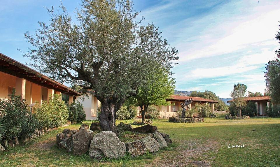 Villa Turismo Rurale Su Cuile à Dorgali Extérieur photo
